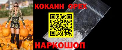 Альфа ПВП Будённовск
