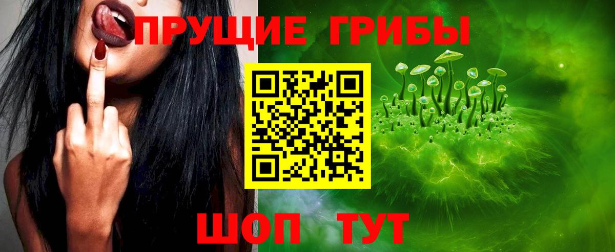 Псилоцибиновые грибы Cubensis Салават